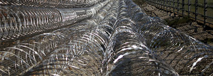 Concertina Razor Wire