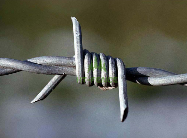 Barbed wire