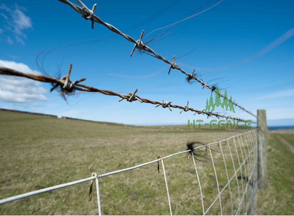 Barbed wire