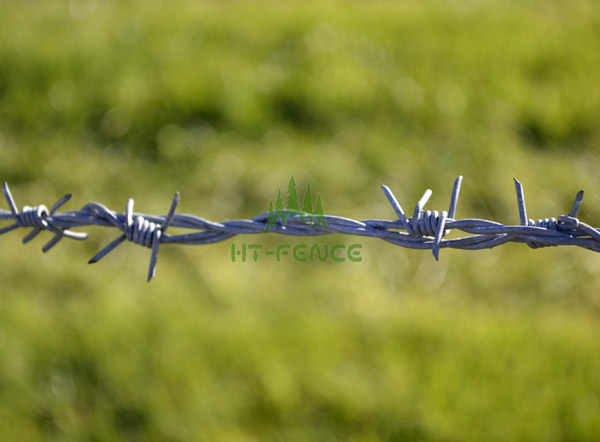 Barbed wire