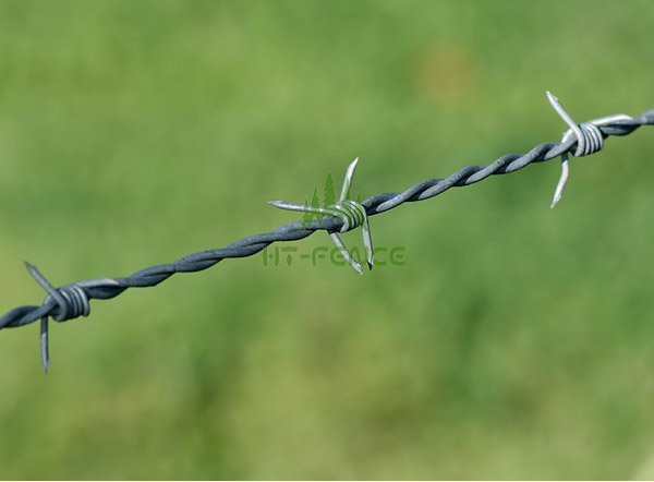 Barbed wire