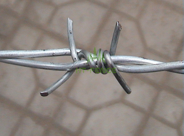 Barbed wire