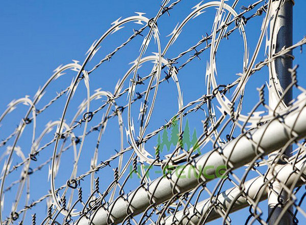 Concertina Razor Wire