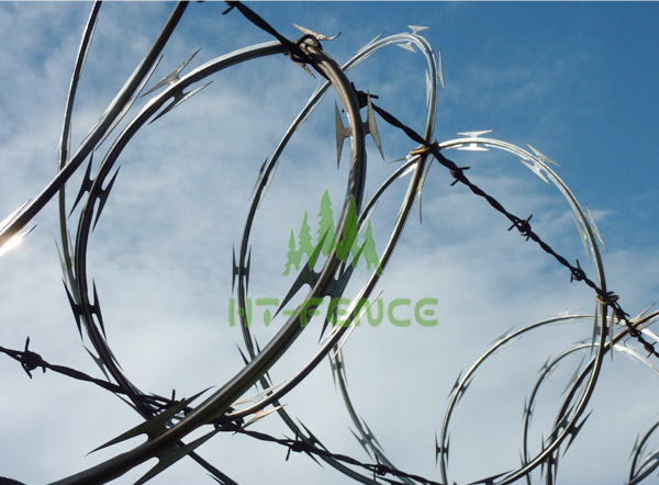 Concertina Razor Wire