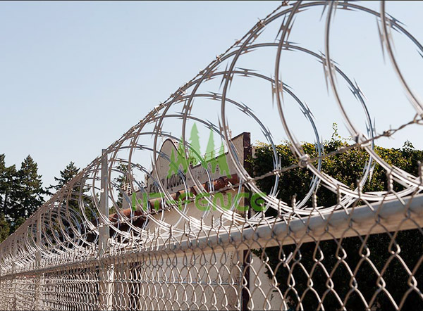 Concertina Razor Wire